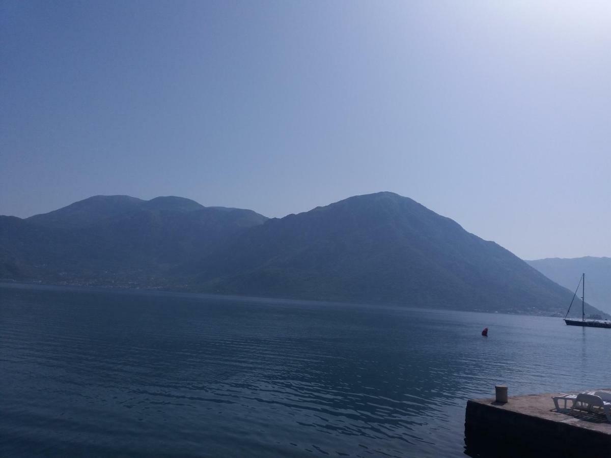 Apartments Dabovic Kotor Zimmer foto