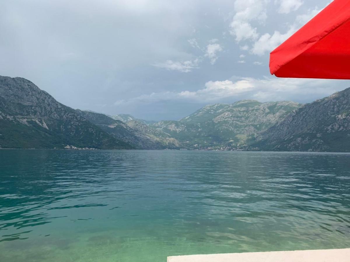 Apartments Dabovic Kotor Zimmer foto